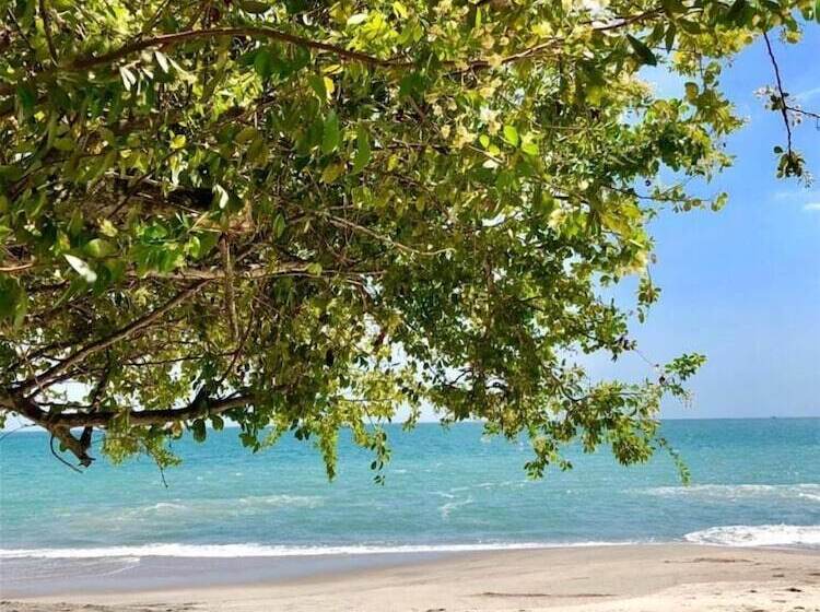 펜션 La Perla De Farallon Bed And Breakfast