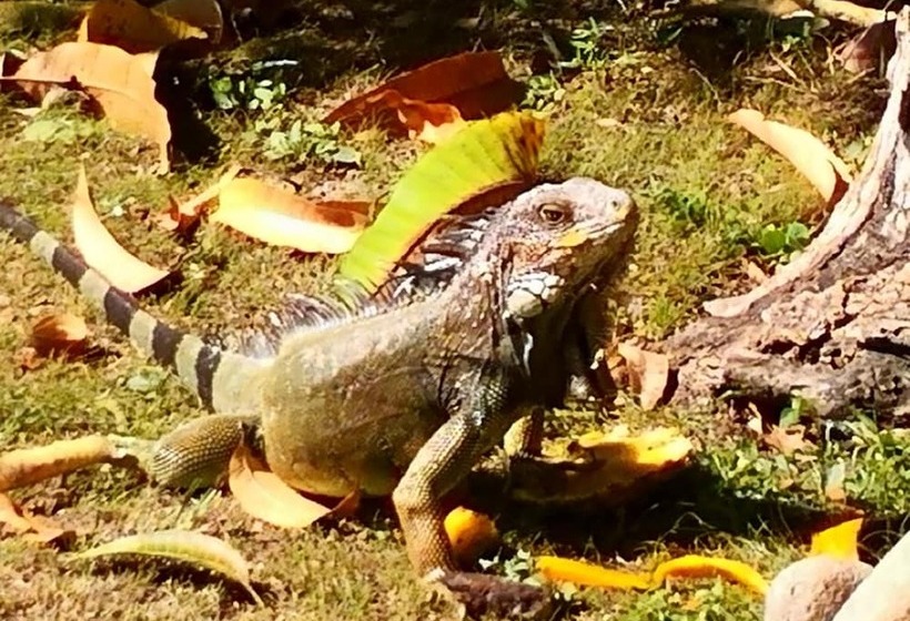 펜션 La Perla De Farallon Bed And Breakfast