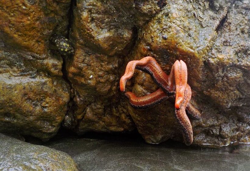 膳宿费 Lodge El Amargal Reserva Natural, Ecoturismo & Surf