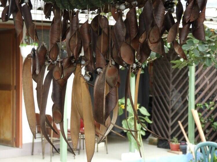 پانسیون Seeds & Roots Raíces Y Semillas