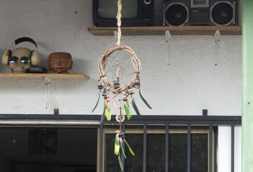 膳宿费 Seeds & Roots Raíces Y Semillas