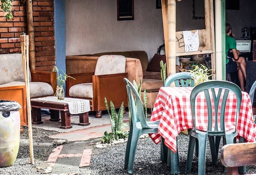 膳宿费 Seeds & Roots Raíces Y Semillas