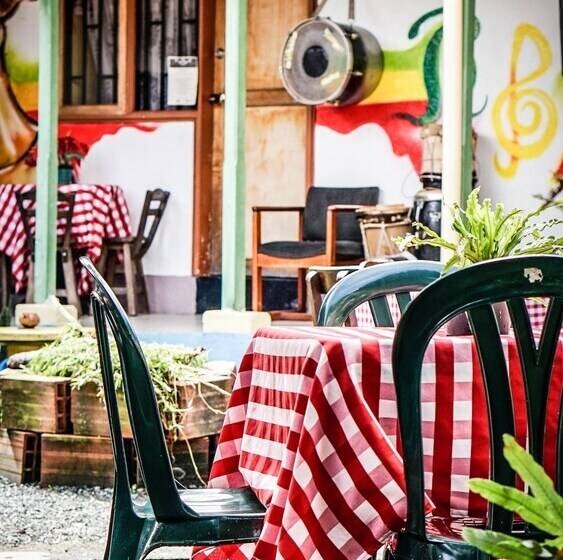 膳宿费 Seeds & Roots Raíces Y Semillas