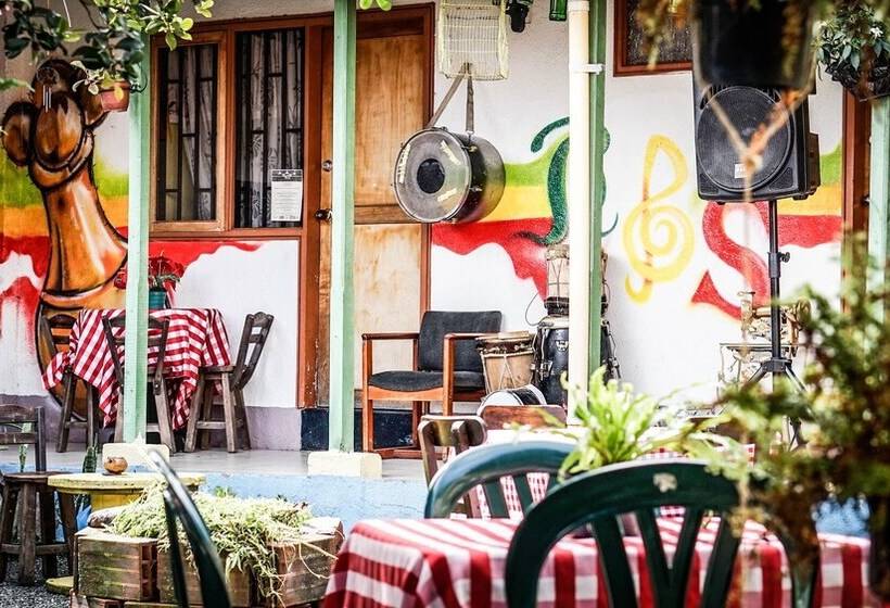 膳宿费 Seeds & Roots Raíces Y Semillas