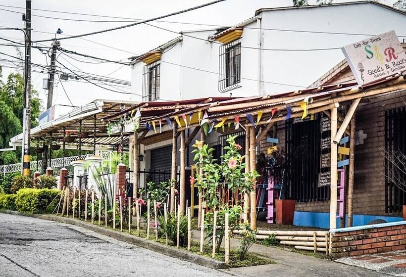 膳宿费 Seeds & Roots Raíces Y Semillas