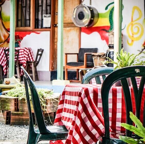 膳宿费 Seeds & Roots Raíces Y Semillas