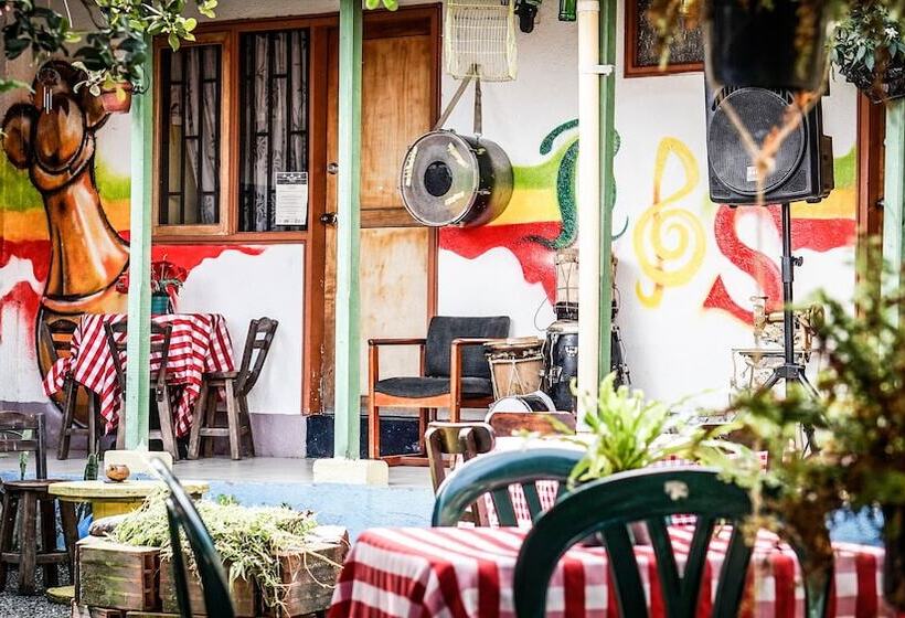 膳宿费 Seeds & Roots Raíces Y Semillas