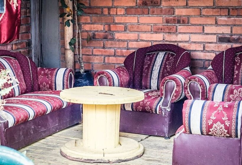 پانسیون Seeds & Roots Raíces Y Semillas