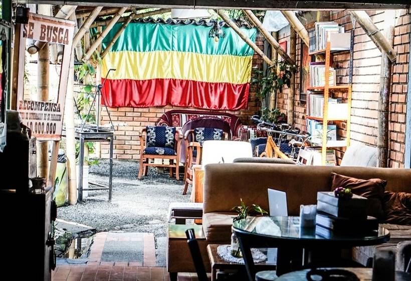 膳宿费 Seeds & Roots Raíces Y Semillas