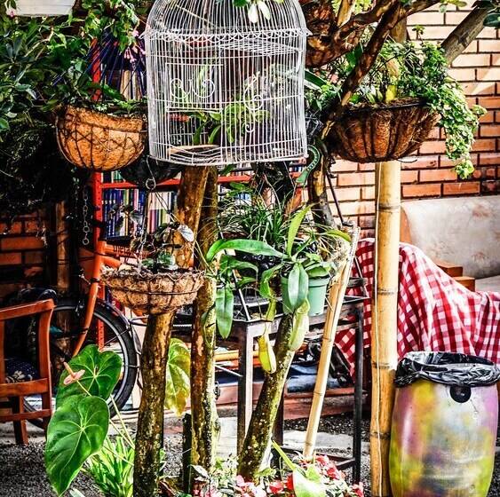 膳宿费 Seeds & Roots Raíces Y Semillas