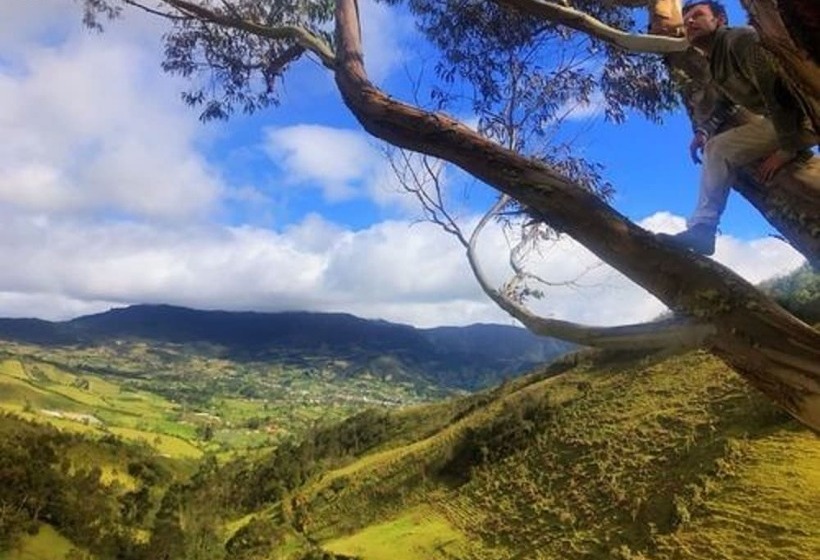 膳宿费 The Lost Leprechaun Ecohostel