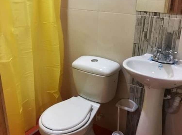 پانسیون The Lost Leprechaun Ecohostel