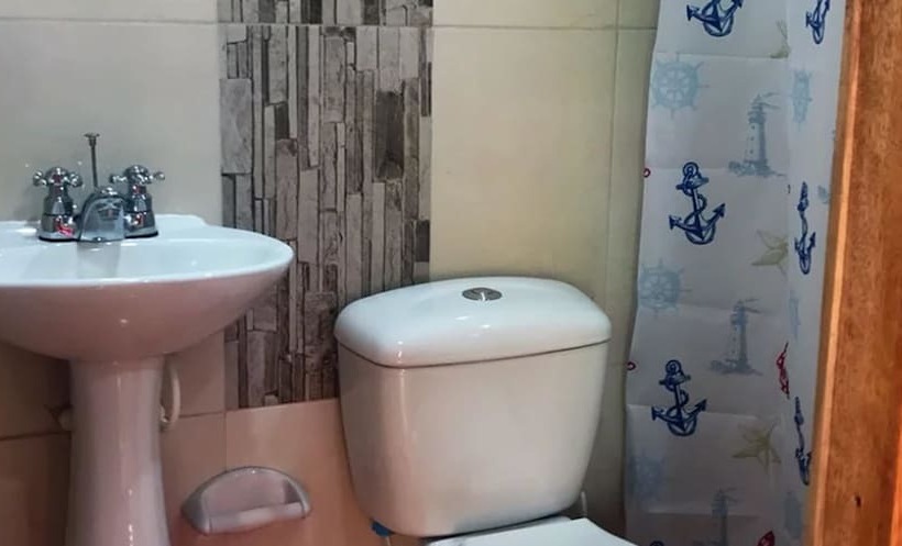 膳宿费 The Lost Leprechaun Ecohostel