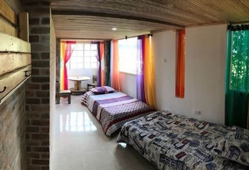 膳宿费 The Lost Leprechaun Ecohostel