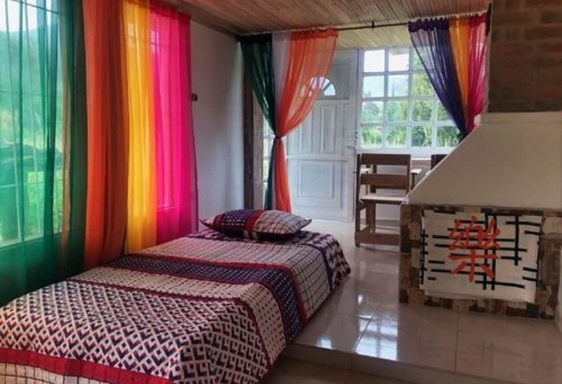 膳宿费 The Lost Leprechaun Ecohostel