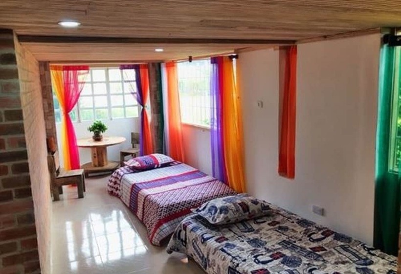 膳宿费 The Lost Leprechaun Ecohostel