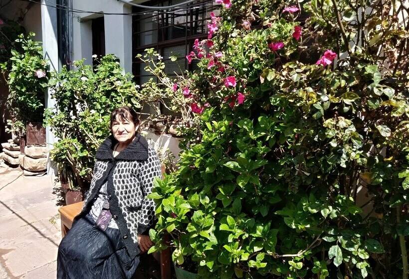 پانسیون Union Wasi 238