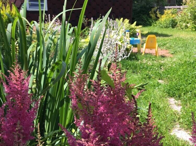 Пансион Viking