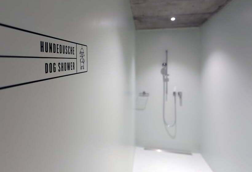 פנסיון Weissbad Lodge