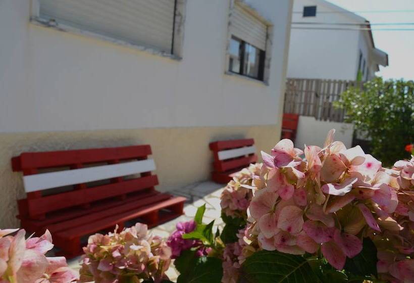 Pi Guest House   Hostel