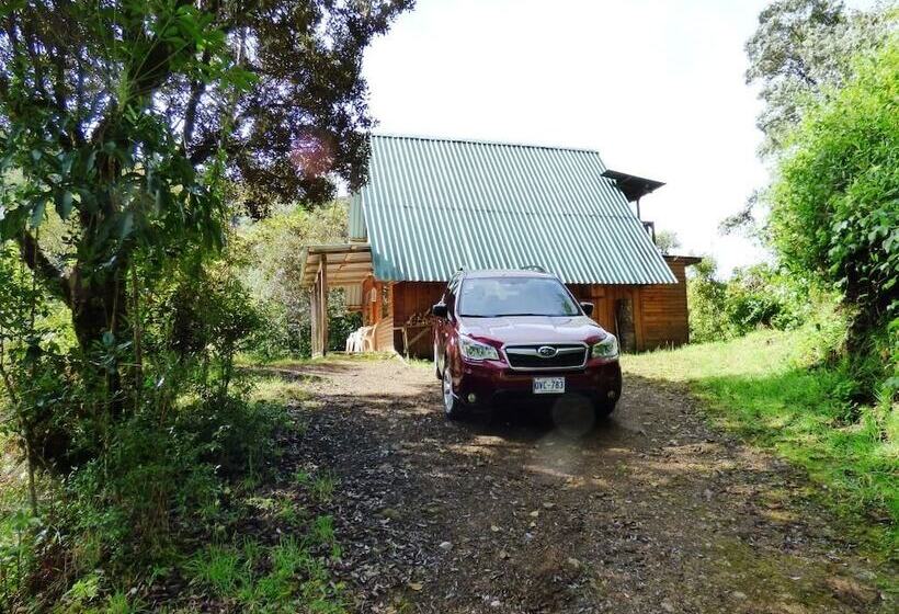 Quetzal Valley Cabins