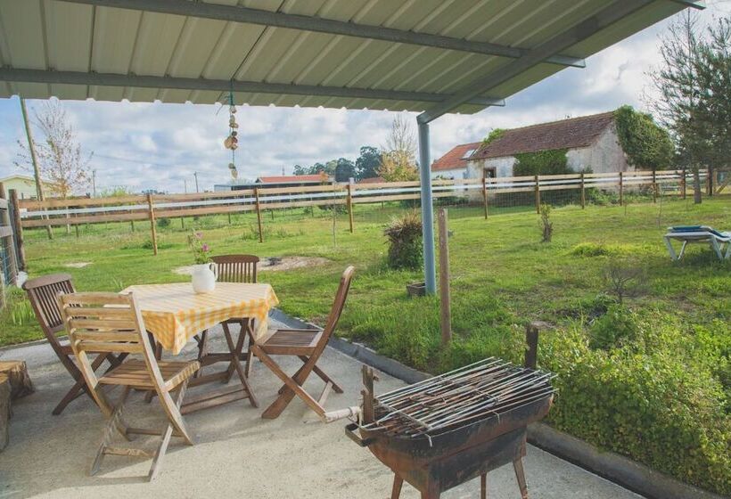 Recoleta Da Praia Velha