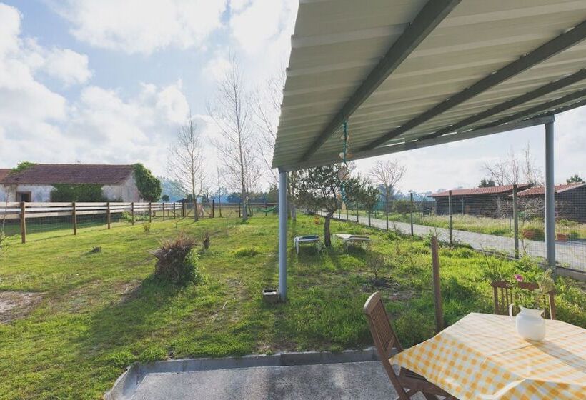 Recoleta Da Praia Velha