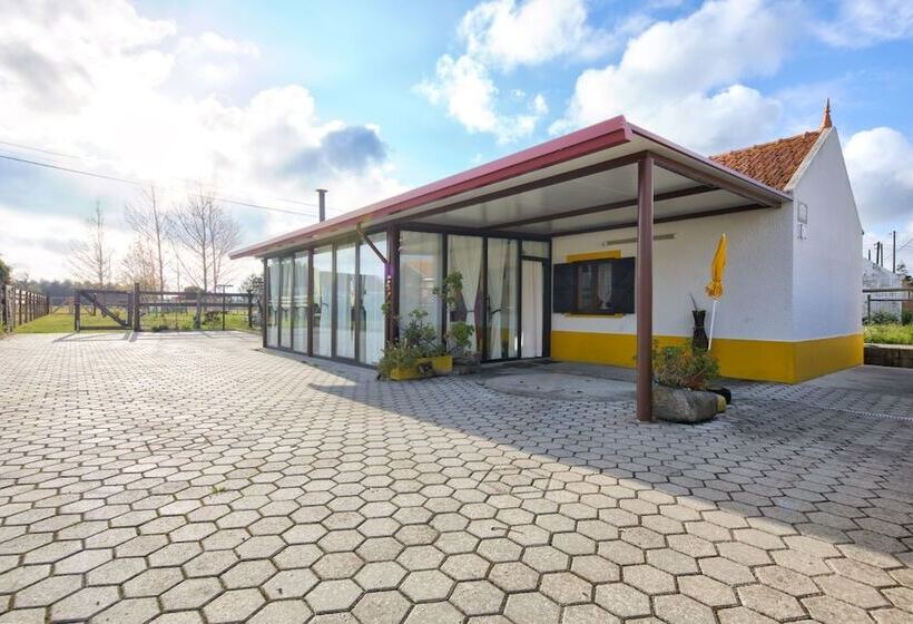 Recoleta Da Praia Velha