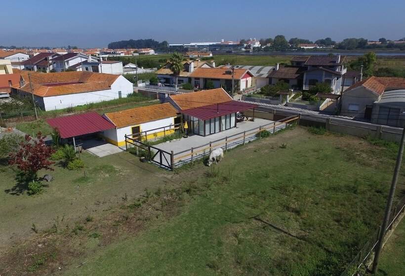 Recoleta Da Praia Velha