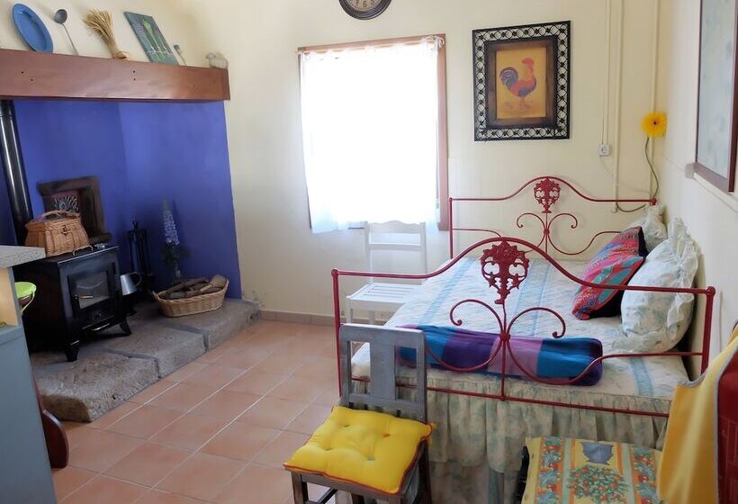 Recoleta Da Praia Velha