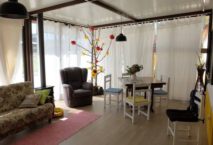 Recoleta Da Praia Velha