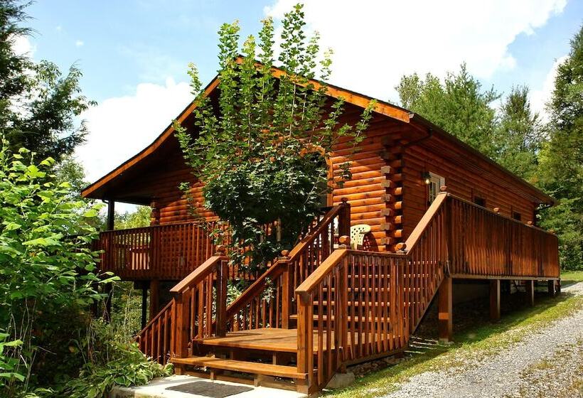 Spruce Lane   2 Bedrooms, 2 Baths, Sleeps 6 Cabin By Redawning