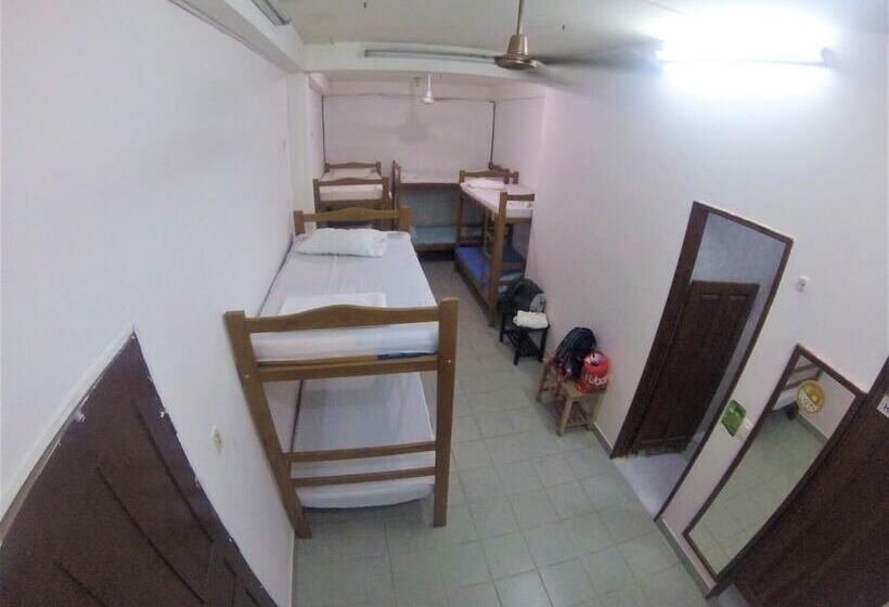 Tauma Hostal & Camping