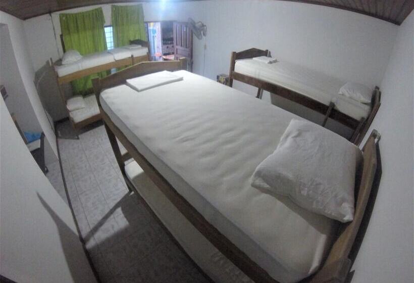 Tauma Hostal & Camping