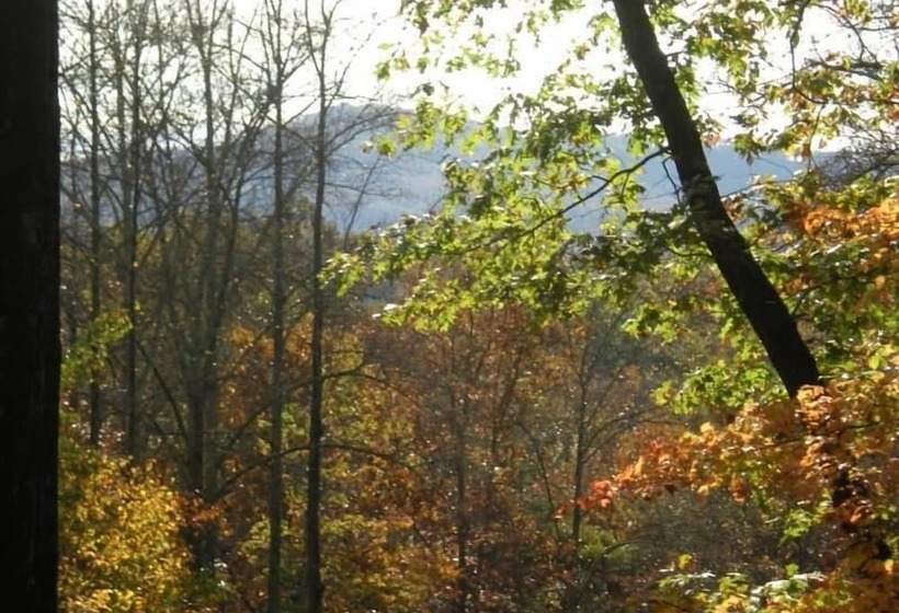 Turkey Feather Nevaeh Cabin Rentals