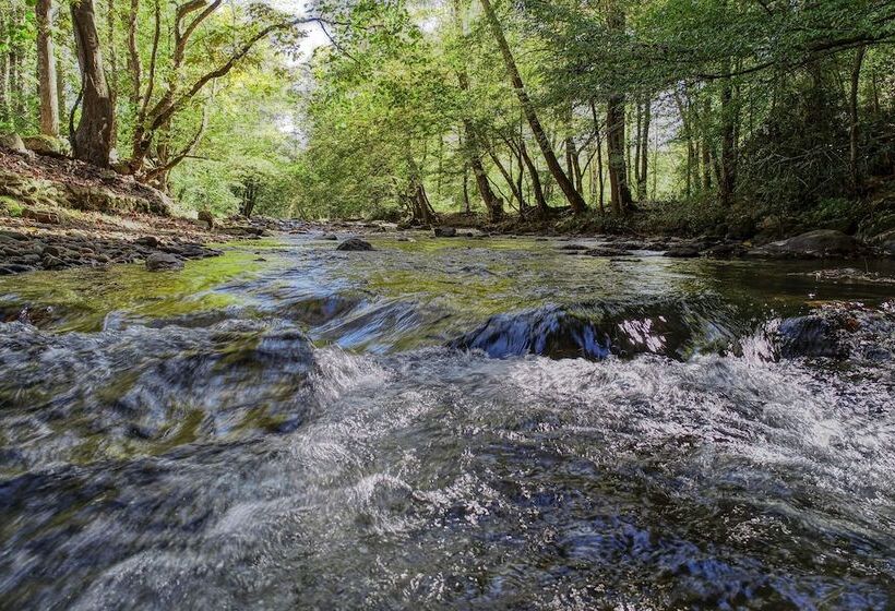 Whispering Creek   2 Bedrooms, 1 Baths, Sleeps 6 Cabin By Redawning