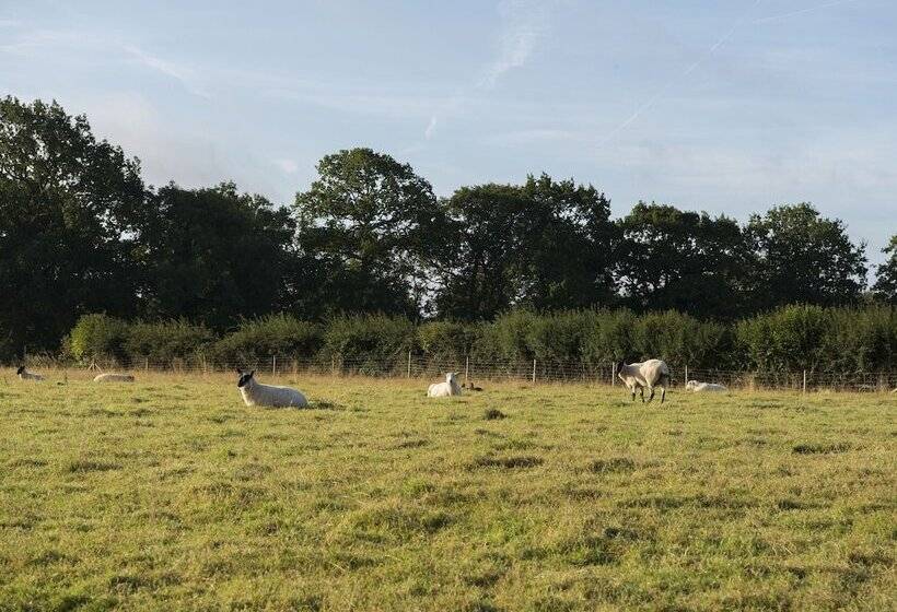 Barnfields Holiday Cottage