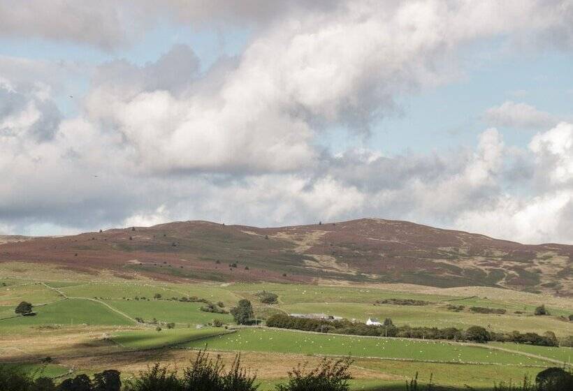 Bryn Dedwydd Farmhouse