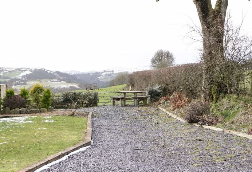 Bryn Eithin