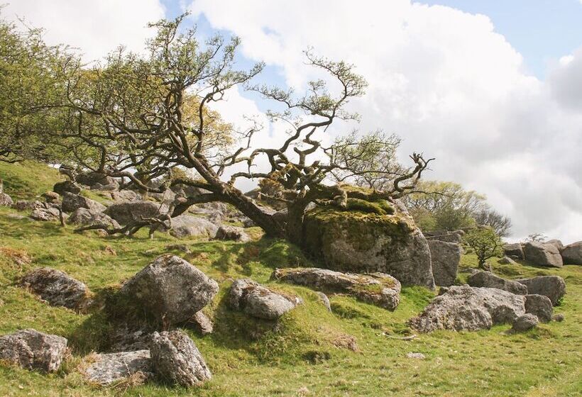 Butterbrook Coach House