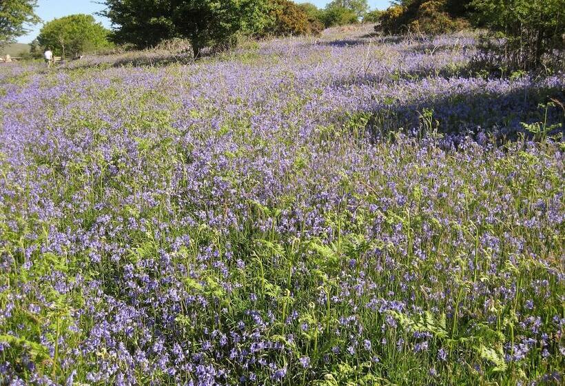 Butterbrook Coach House