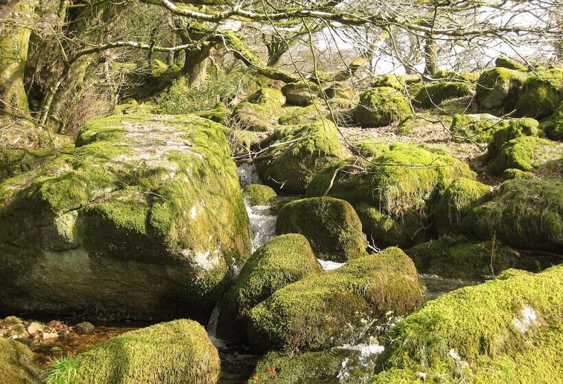 Butterbrook Coach House