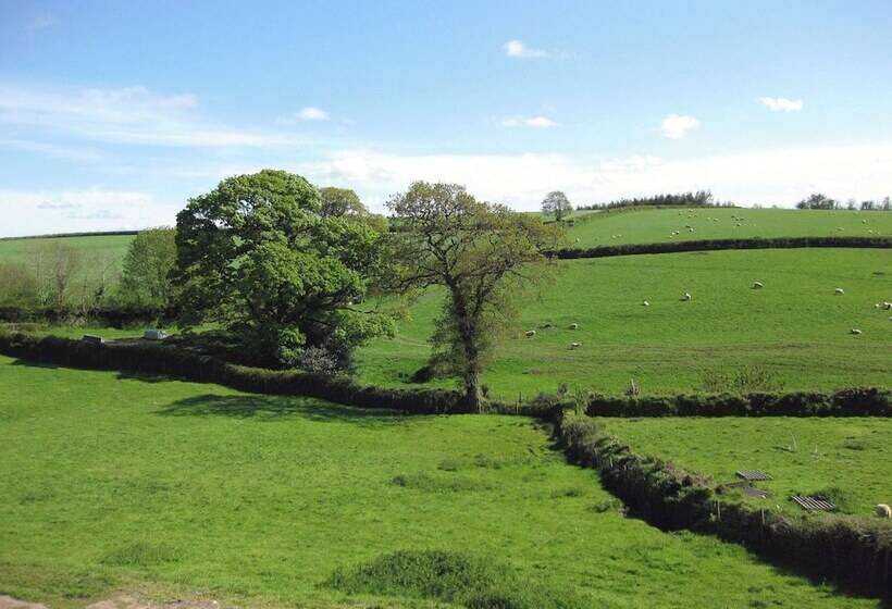 Haye Barton Farm