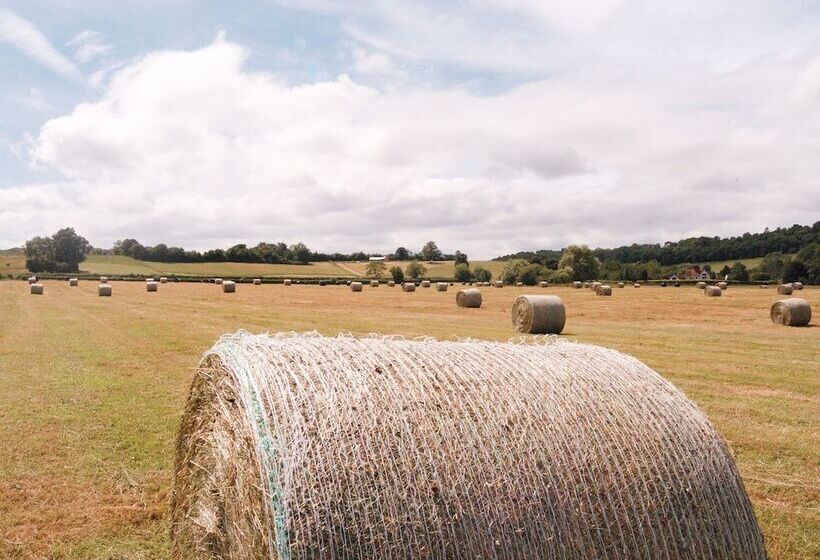 Lower Tundridge Cottage