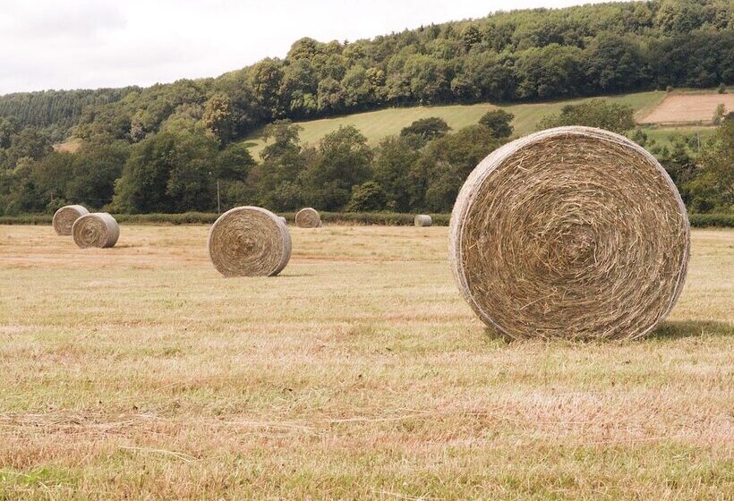 Lower Tundridge Cottage