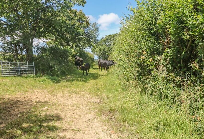 Lower West Curry Cottage