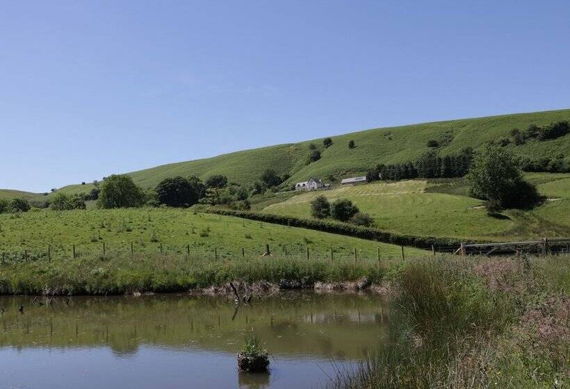 Maesgwyn