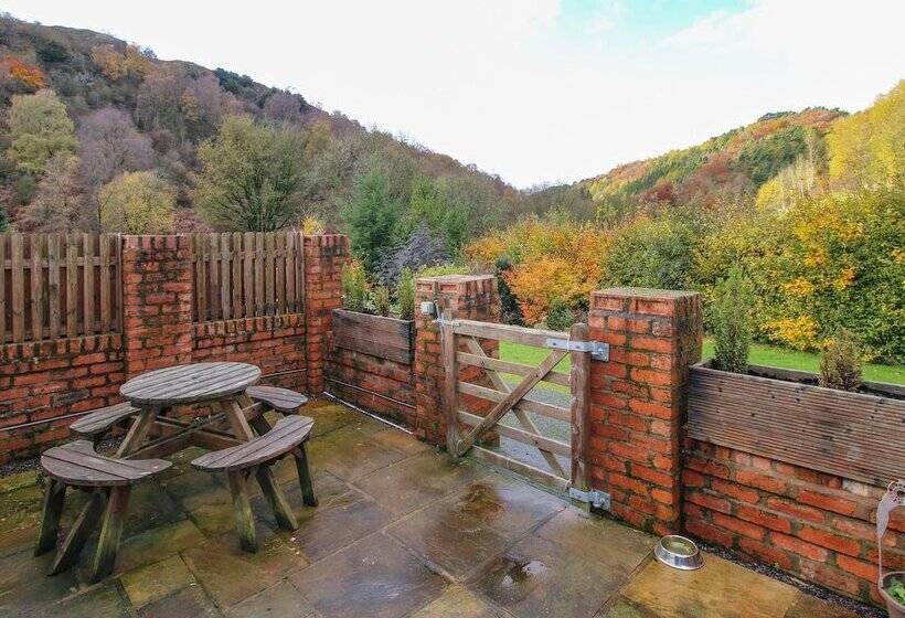 Meadow View