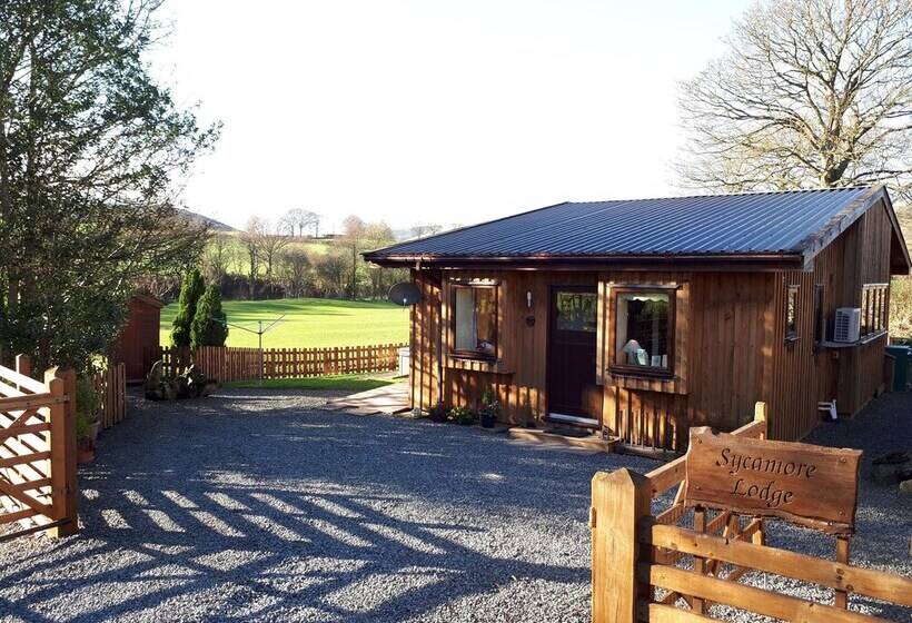 Sycamore Lodge