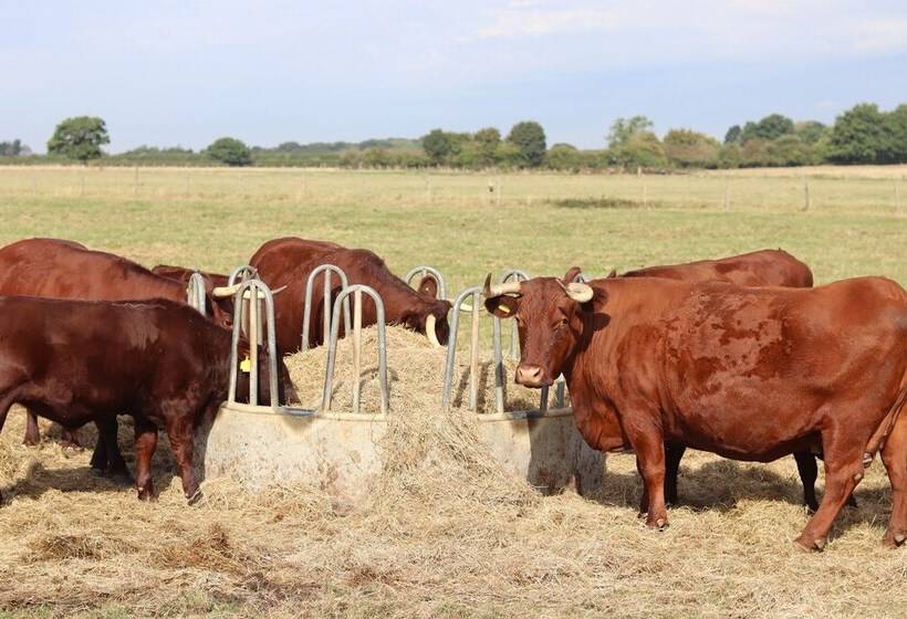 The Farm House @ Nables Farm